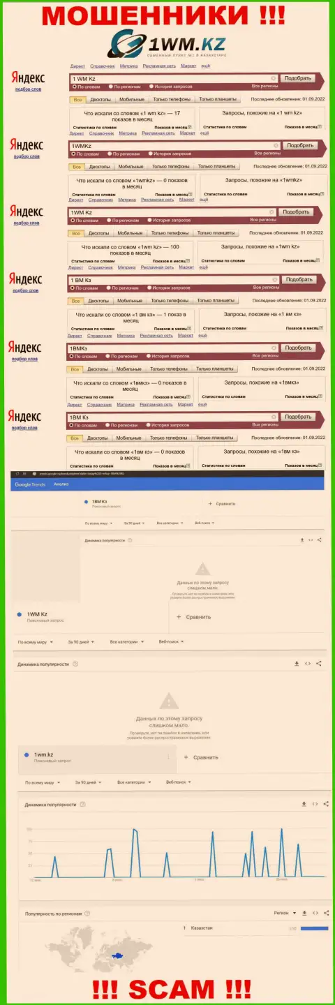 Подробный анализ интернет запросов по мошеннической организации 1WM Kz