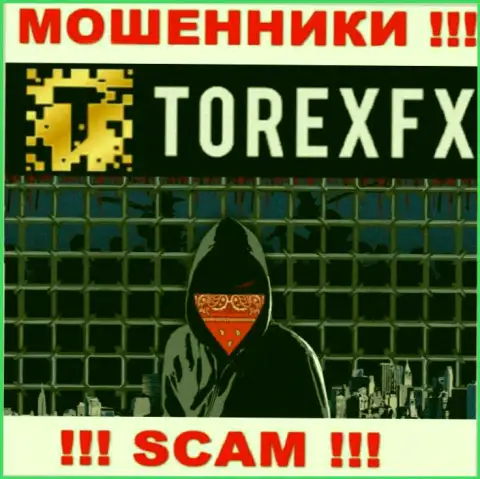 Torex FX не разглашают информацию об руководстве конторы