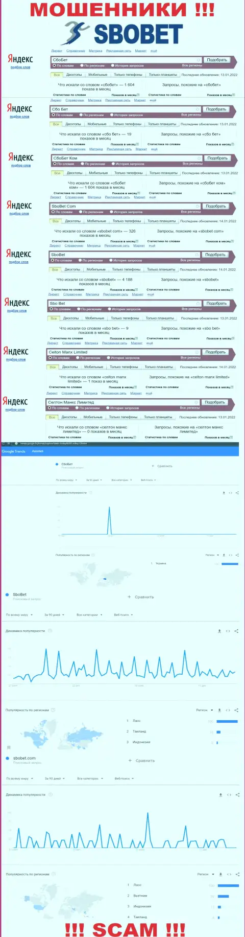 Статистические сведения поисковых запросов по бренду мошенников СбоБет Ком