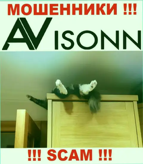 На информационном портале кидал Avisonn Com Вы не разыщите материала о регуляторе, его нет !!!
