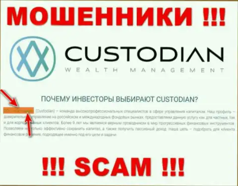 Юридическим лицом, управляющим internet шулерами Custodian Ru, является ООО Кастодиан