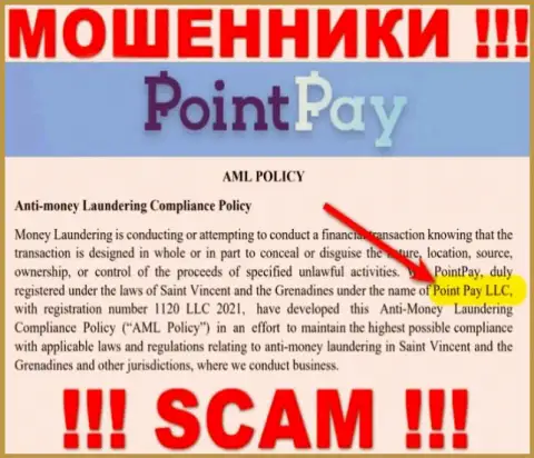 Организацией Поинт Пэй ЛЛК управляет Point Pay LLC - информация с интернет-ресурса мошенников