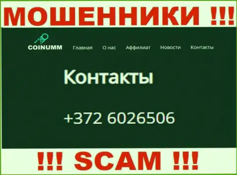 Номер телефона компании Коинумм, указанный на веб-портале мошенников