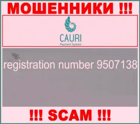 Регистрационный номер, принадлежащий неправомерно действующей компании Каури Ком - 9507138