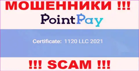 Регистрационный номер ПоинтПей, который представлен мошенниками на их веб-портале: 1120 LLC 2021