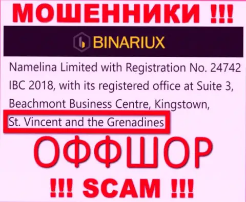 Namelina Limited это МАХИНАТОРЫ, которые официально зарегистрированы на территории - Saint Vincent and the Grenadines